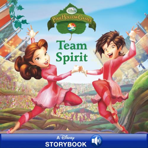 Cover of the book Disney Fairies: Team Spirit by Disney Book Group, Disney Book Group