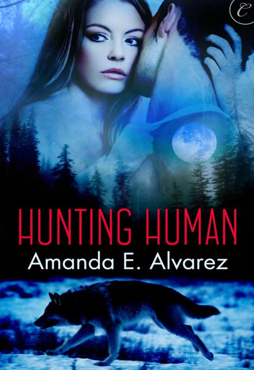 Cover of the book Hunting Human by Amanda E. Alvarez, Carina Press
