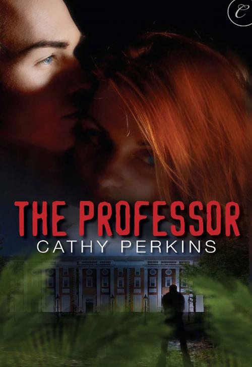 Cover of the book The Professor by Cathy Perkins, Carina Press