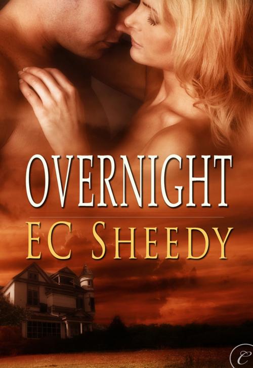 Cover of the book Overnight by EC Sheedy, Carina Press