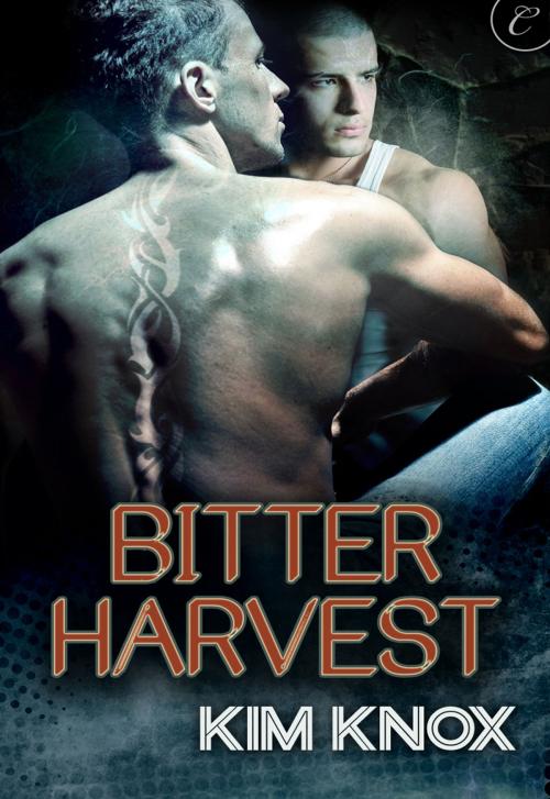 Cover of the book Bitter Harvest by Kim Knox, Carina Press