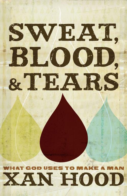 Cover of the book Sweat, Blood, and Tears by Xan Hood, David C. Cook