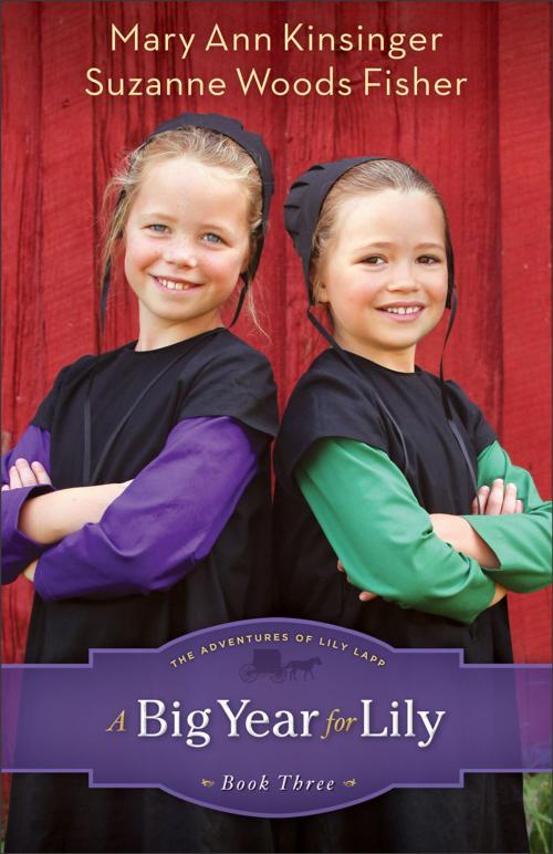 Cover of the book Big Year for Lily, A (The Adventures of Lily Lapp Book #3) by Mary Ann Kinsinger, Suzanne Woods Fisher, Baker Publishing Group