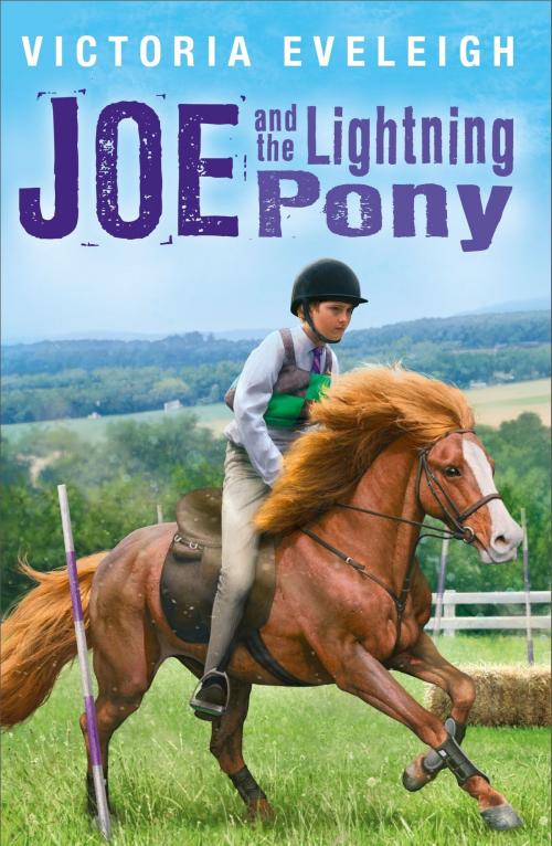 Cover of the book The Horseshoe Trilogy: Joe and the Lightning Pony by Victoria Eveleigh, Hachette Children's