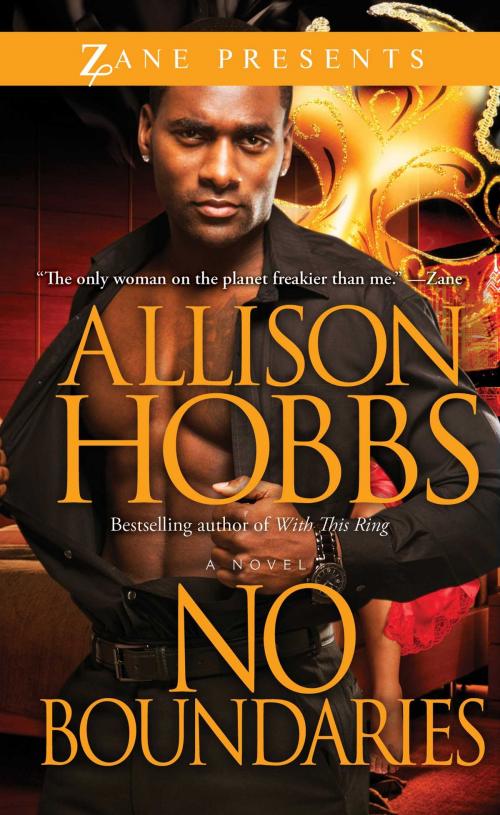 Cover of the book No Boundaries by Allison Hobbs, Strebor Books