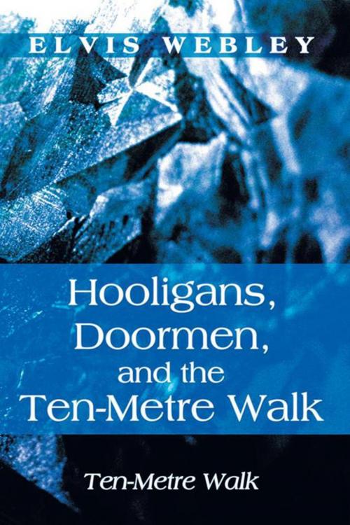Cover of the book Hooligans, Doormen, and the Ten-Metre Walk by Elvis Webley, Balboa Press
