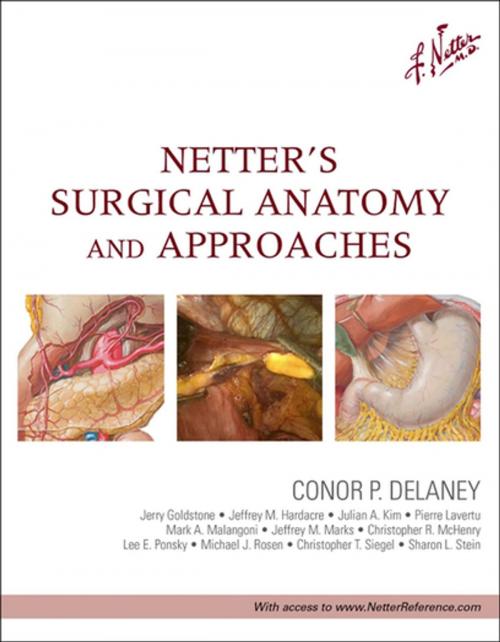 Cover of the book Netter's Surgical Anatomy and Approaches E-Book by Conor P Delaney, MCh, PhD, FRSCI ( Gen), FACS, Elsevier Health Sciences
