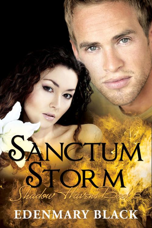 Cover of the book Sanctum Storm: Shadow Havens Book 5 by Edenmary Black, eBookIt.com