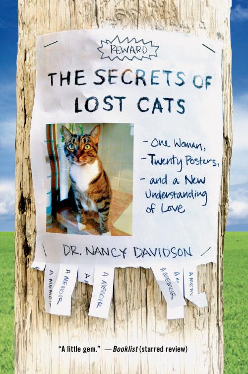 Cover of the book The Secrets of Lost Cats by Dr. Nancy Davidson, MD, St. Martin's Press