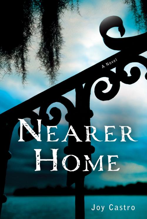 Cover of the book Nearer Home by Joy Castro, St. Martin's Press