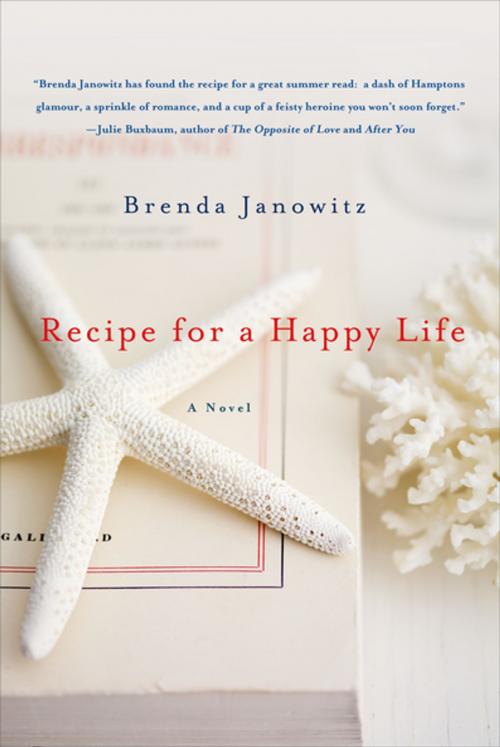 Cover of the book Recipe for a Happy Life by Brenda Janowitz, St. Martin's Press