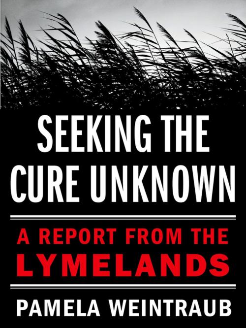 Cover of the book Seeking the Cure Unknown by Pamela Weintraub, St. Martin's Press