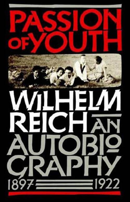 Cover of the book Passion of Youth by Wilhelm Reich, Farrar, Straus and Giroux