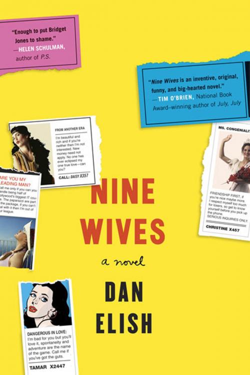 Cover of the book Nine Wives by Dan Elish, St. Martin's Press