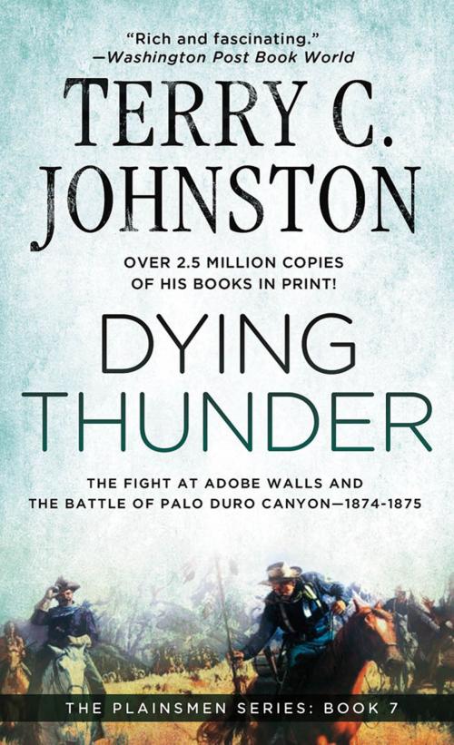 Cover of the book Dying Thunder by Terry C. Johnston, St. Martin's Press