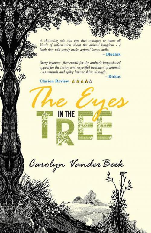 Cover of the book The Eyes in the Tree by Carolyn VanderBeek, iUniverse
