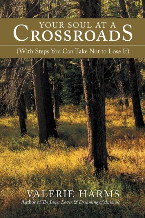 Cover of the book Your Soul at a Crossroads by Valerie Harms, iUniverse