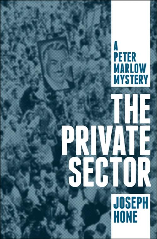 Cover of the book The Private Sector by Joseph Hone, MysteriousPress.com/Open Road