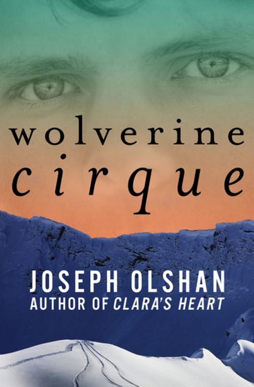 Cover of the book Wolverine Cirque by Joseph Olshan, Open Road Media
