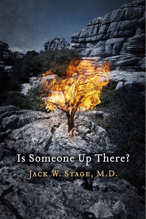 Cover of the book Is Someone Up There? by Jack W. Stage, M.D., BookBaby