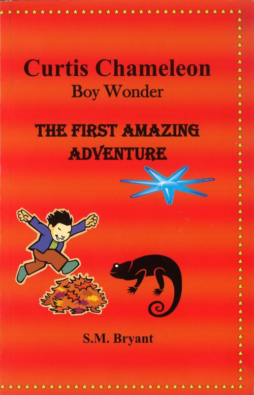 Cover of the book Curtis Chameleon Boy Wonder by S.M. Bryant, BookBaby