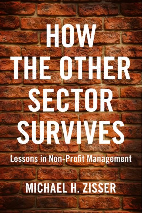 Cover of the book How The Other Sector Survives by Michael H. Zisser, BookBaby