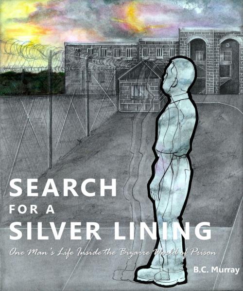 Cover of the book Search for a Silver Lining by B.C. Murray, BookBaby