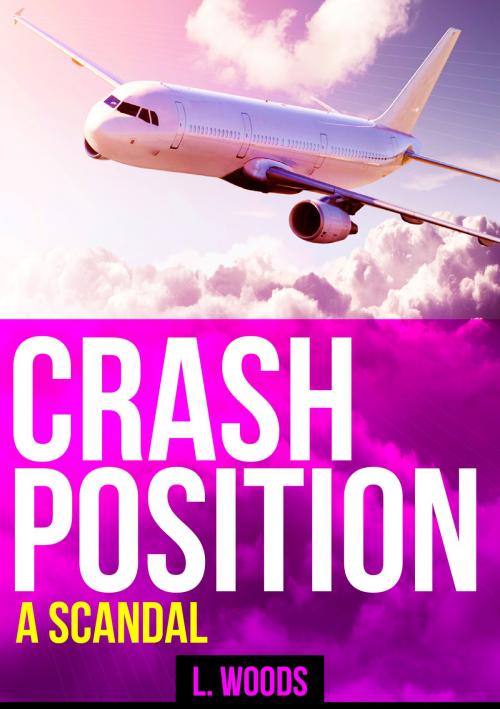 Cover of the book Crash Position by Liz Woods, BookBaby