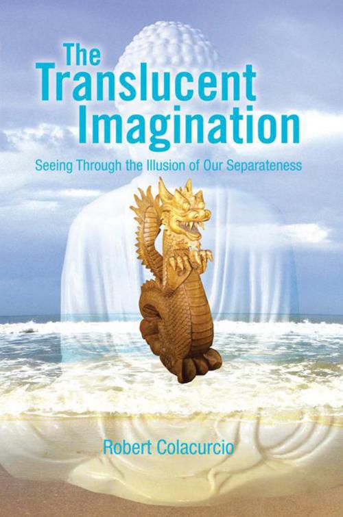 Cover of the book The Translucent Imagination by Robert Colacurcio, Xlibris US