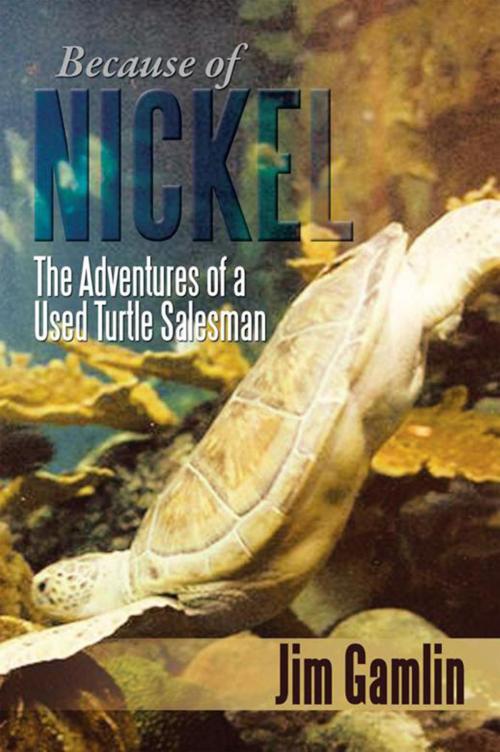 Cover of the book Because of Nickel by Jim Gamlin, Xlibris US