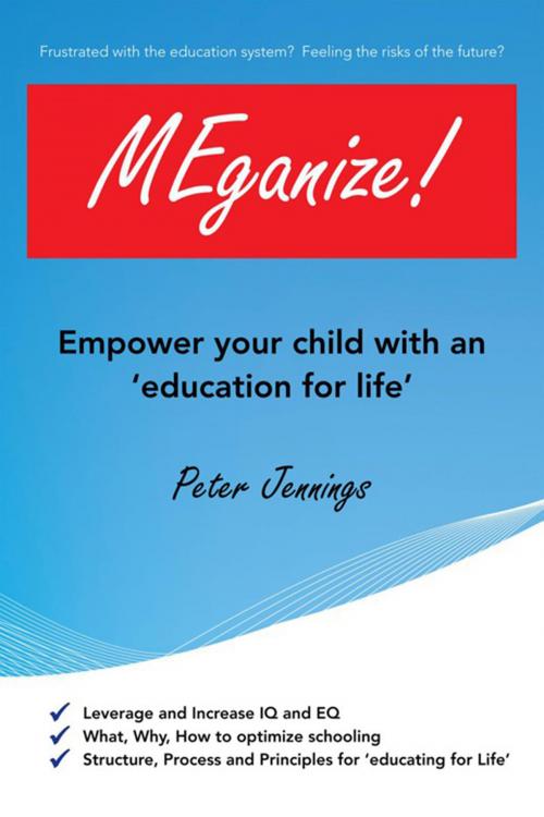 Cover of the book Meganize! by Peter Jennings, Xlibris US