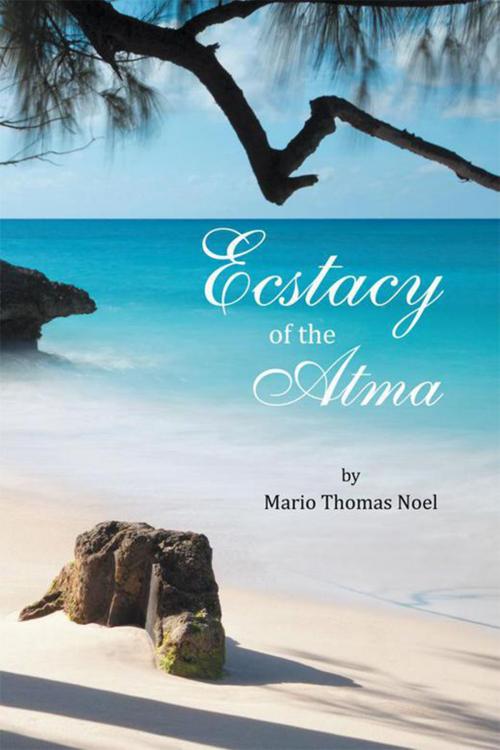 Cover of the book Ecstacy of the Atma by Mario Thomas Noel, Xlibris US