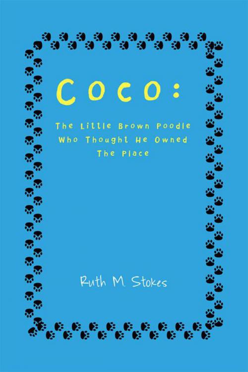 Cover of the book Coco: the Little Brown Poodle Who Thought He Owned the Place by Ruth M. Stokes, Xlibris US