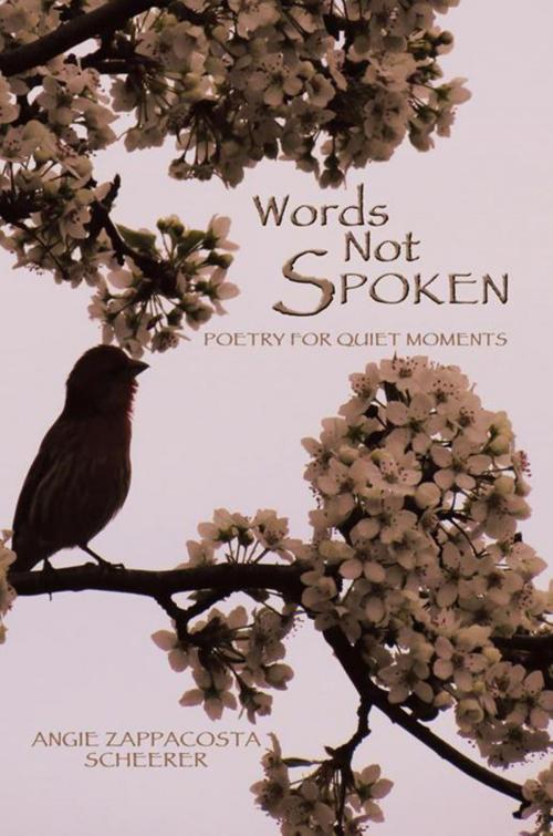Cover of the book Words Not Spoken by Angie Zappacosta Scheerer, Xlibris US