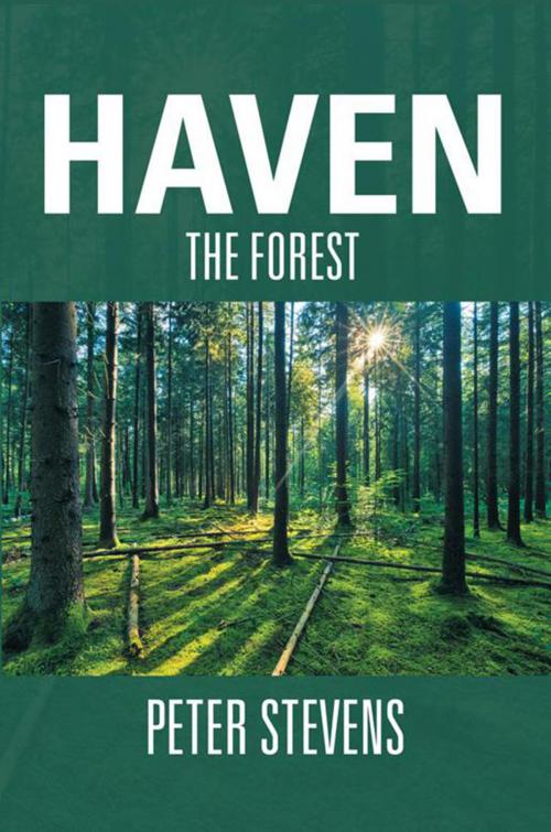 Cover of the book Haven by Peter Stevens, Xlibris AU