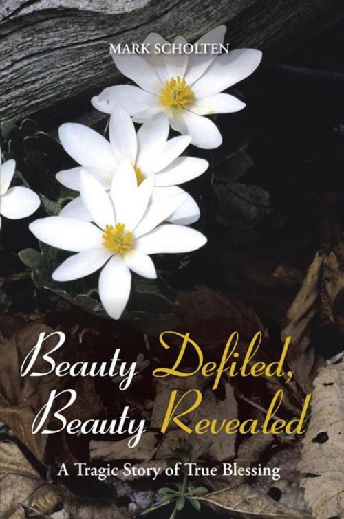 Cover of the book Beauty Defiled, Beauty Revealed by Mark Scholten, WestBow Press