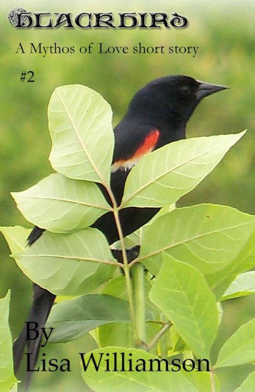 Cover of the book Blackbird by Lisa Williamson, Lisa  Williamson
