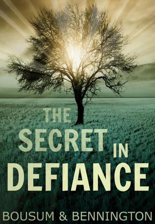 Cover of the book The Secret in Defiance by Jeff Bennington, Nexgate Press