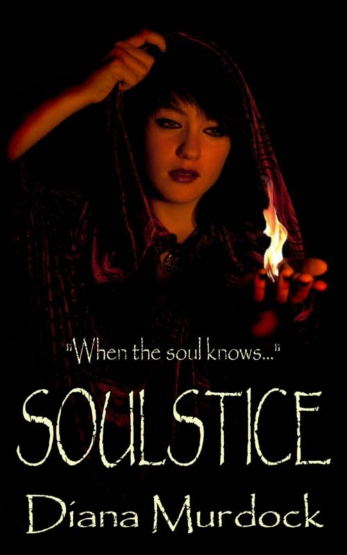 Cover of the book Soulstice by Diana Murdock, Diana Murdock