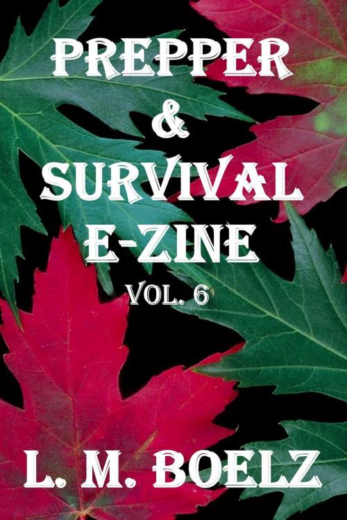 Cover of the book Prepper & Survival E-Zine 6 by L M Boelz, L M Boelz
