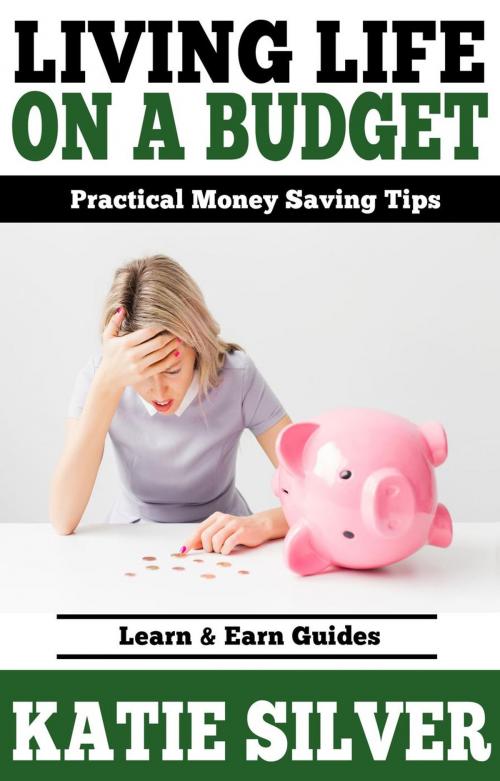 Cover of the book Living life on a Budget by Katie Silver, Learn & Earn Guides