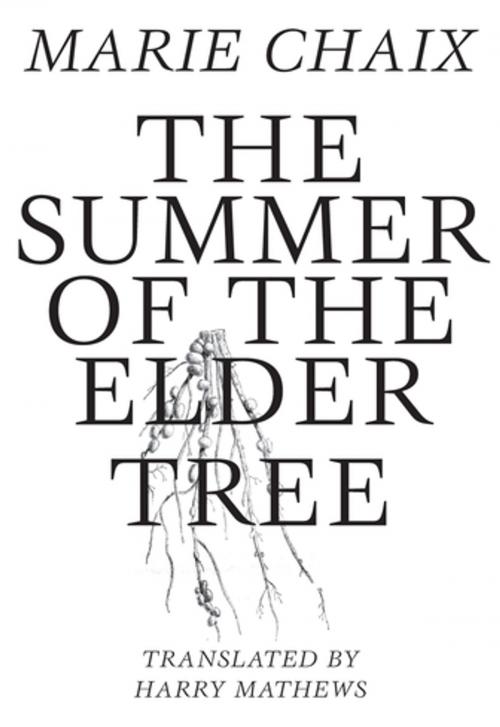 Cover of the book Summer of the Elder Tree by Marie Chaix, Dalkey Archive Press