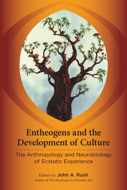 Cover of the book Entheogens and the Development of Culture by , North Atlantic Books