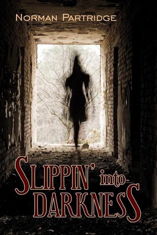 Cover of the book Slippin' Into Darkness by Norman Partridge, Cemetery Dance Publications