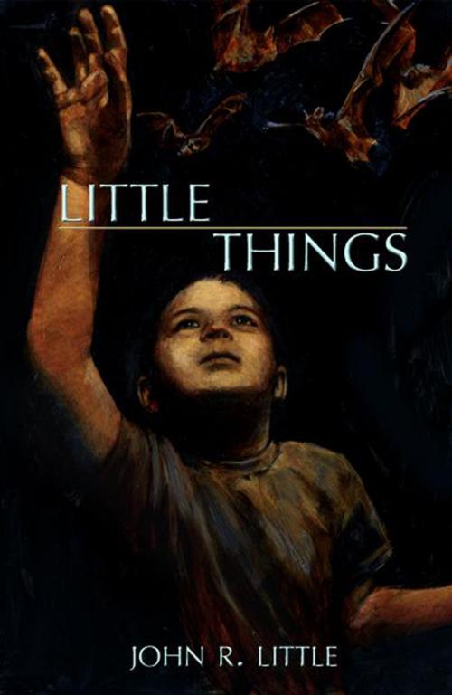 Cover of the book Little Things by John R. Little, Cemetery Dance Publications