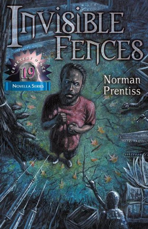Cover of the book Invisible Fences by Norman Prentiss, Cemetery Dance Publications