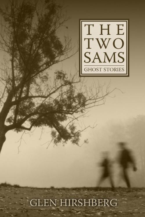 Cover of the book The Two Sams by Glen Hirshberg, Cemetery Dance Publications