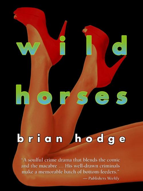 Cover of the book Wild Horses by Brian Hodge, Cemetery Dance Publications