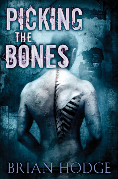 Cover of the book Picking the Bones by Brian Hodge, Cemetery Dance Publications
