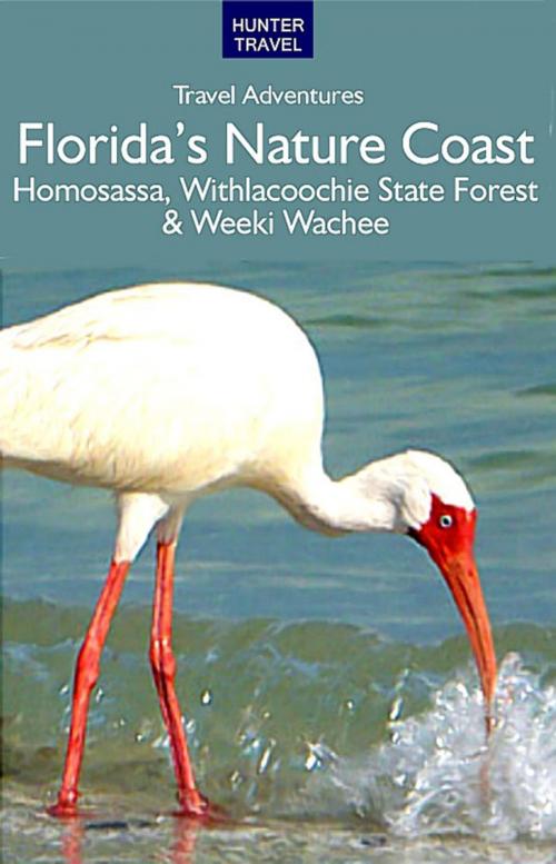 Cover of the book Florida's Nature Coast by Chelle  Koster  Walton, Hunter Publishing, Inc.